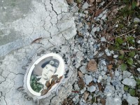 На кладбище в Тверской области неизвестные поломали надгробия и оторвали таблички - Новости ТИА