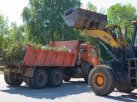 Тверь присоединится к акции "Всемирный день чистоты "Сделаем!" - Новости ТИА
