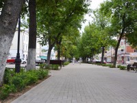 На бульваре Радищева в Твери высадили тысячу кустов барбариса - Новости ТИА