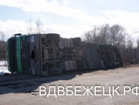 На видео попала фура со свиньями, опрокинувшаяся в кювет - Новости ТИА