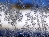 На следующей неделе в Тверскую область придут морозы до -16 градусов - Новости ТИА