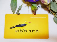 В Твери выросла цена транспортной карты "Иволга" - Новости ТИА