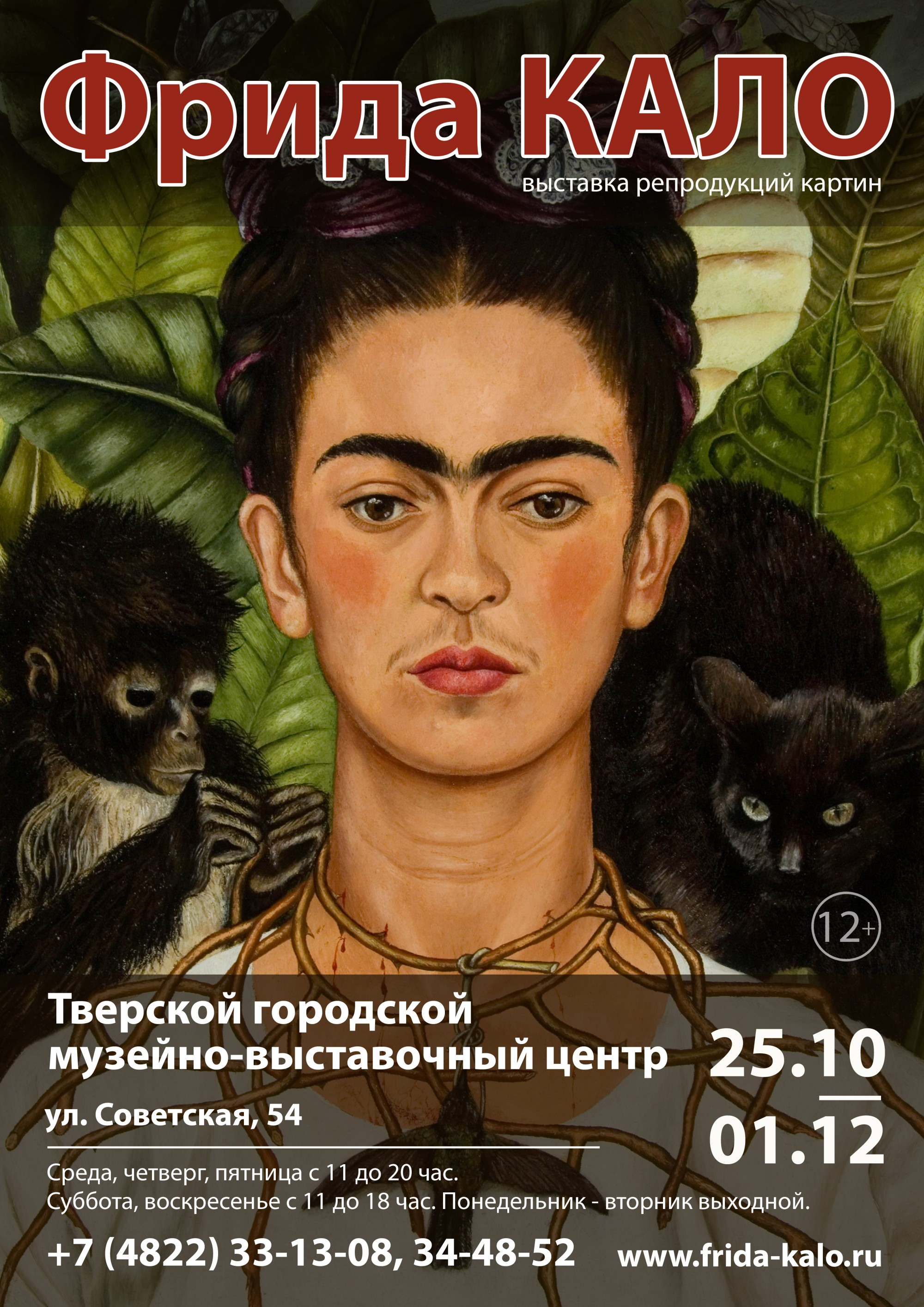 <p></p>