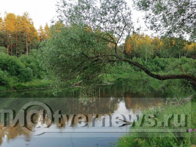 В Тверской области появились еще четыре особо охраняемые природные зоны - новости ТИА