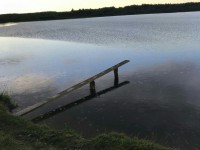 В Тверской области 10-летний мальчик упал с деревянного помоста на пруду и утонул  - Новости ТИА