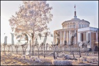 Распил деревьев на Речном вокзале - Народные Новости ТИА