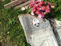 В Тверской области женщина пришла на кладбище и увидела разграбленную могилу своей бабушки - Новости ТИА