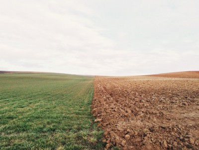 Землевладелец строил пруд и уничтожил плодородный слой почвы на 2 гектарах - Новости ТИА