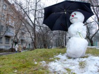Прошедшую зиму прогнозировали суровой, а она оказалась самой тёплой за всю историю метеонаблюдений - Новости ТИА