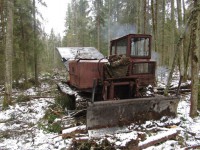 В Тверской области мужчина нарубил деревьев на 4 млн рублей - Новости ТИА