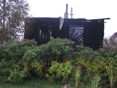 Опубликованы фото с места пожара, где погибла мама с двумя детьми - Новости ТИА