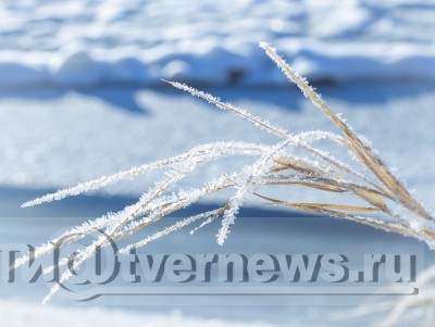 В выходные в Тверской области ожидаются заморозки и снег с дождем - Новости ТИА