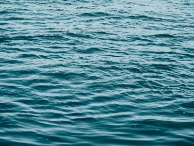 В озере в Тверской области утонул пожилой мужчина - новости ТИА