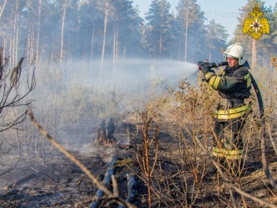В пожароопасный период в регионе зарегистрировано 19 природных пожаров  - новости ТИА