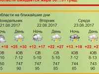 19 августа и в начале новой рабочей недели в Тверской области ожидаются жара, ливни и грозы - Новости ТИА