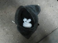 Тверские наркополицейские задержали преступную группу, которая была основным поставщиком амфетамина для молодёжи в городе - новости ТИА