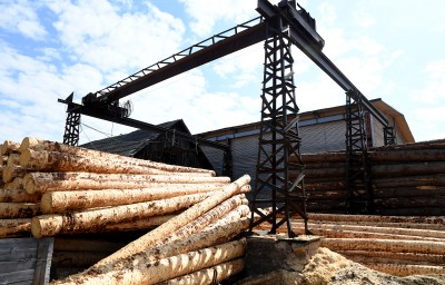 В Тверской области  введут новые меры поддержки лесопромышленной отрасли - Новости ТИА