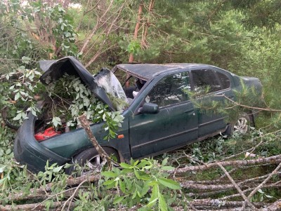 Четыре человека получили травмы после аварии с деревом под Старицей - Новости ТИА