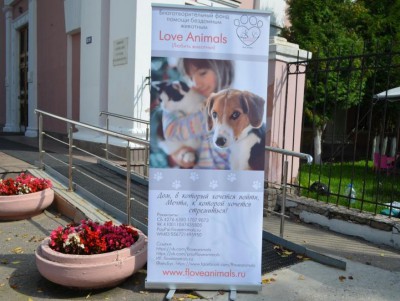 В Твери во Всемирный день бездомных животных пройдёт благотворительная акция - новости ТИА