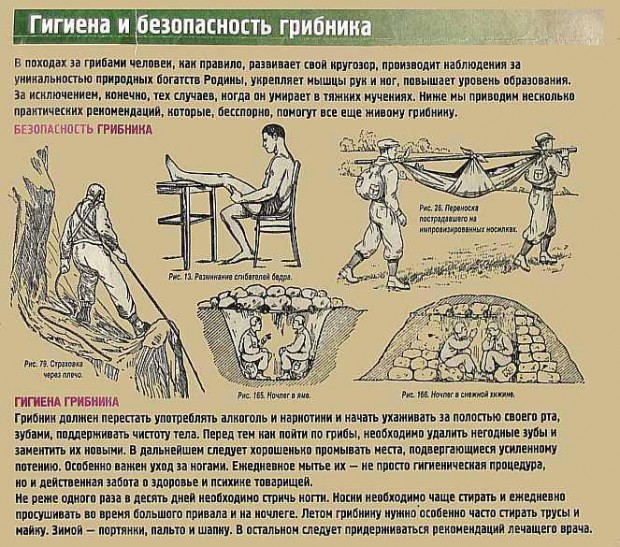 <p></p>
