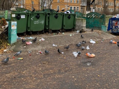 В Тверской области предприятие оштрафовали за несвоевременный вывоз мусора - Новости ТИА
