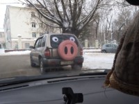 По улицам Твери ездит "автосвин" - Новости ТИА
