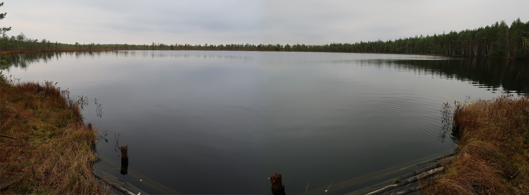 Озеро Щебериха Осташковский район