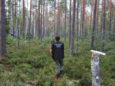 В лесу нашли останки 88-летней женщины - Новости ТИА