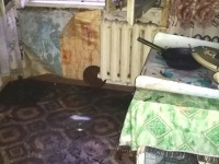 В Тверской области в квартире сгорели трое мужчин - Новости ТИА