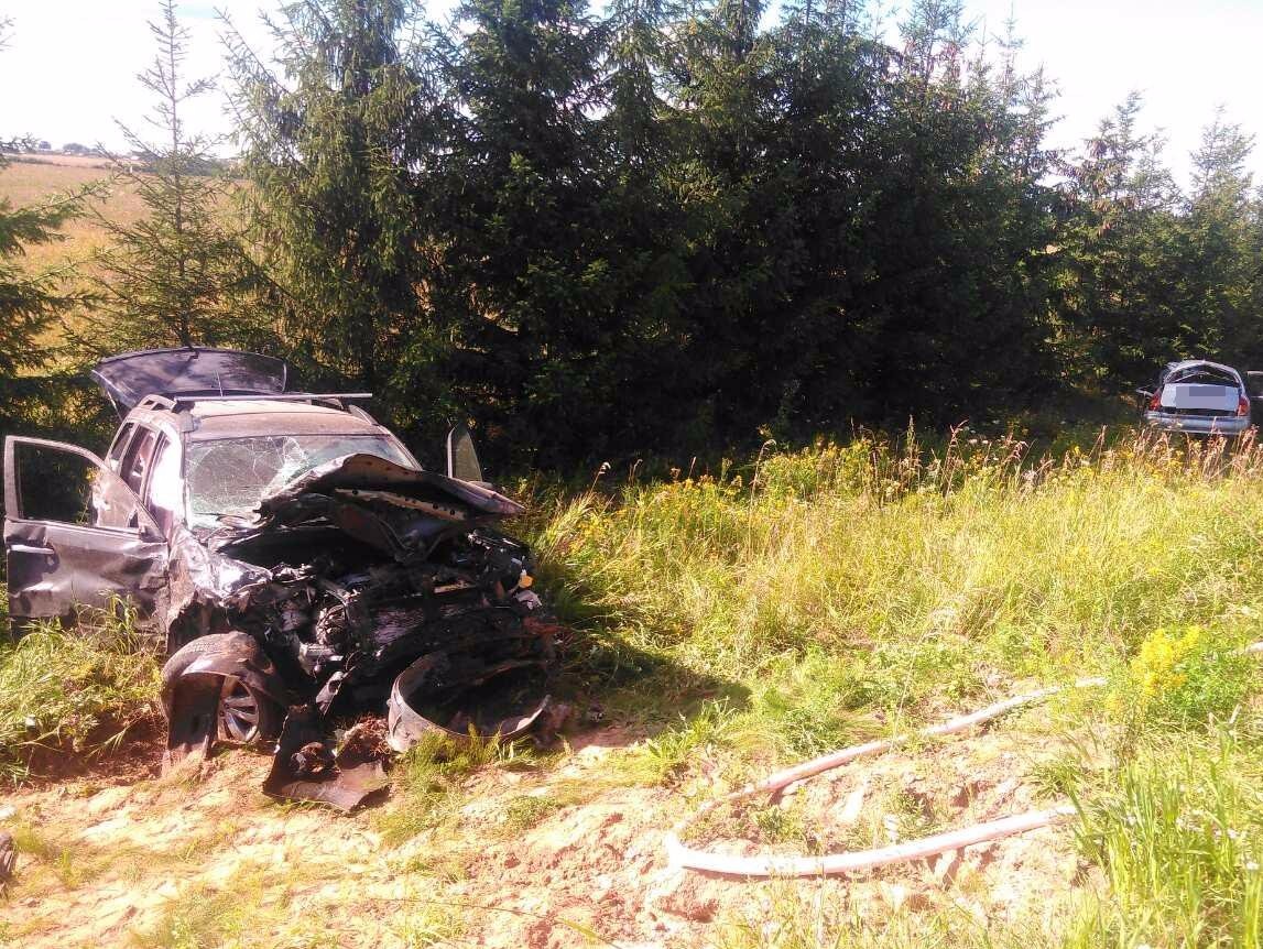 <strong>Автор: ТИА</strong><p></p>