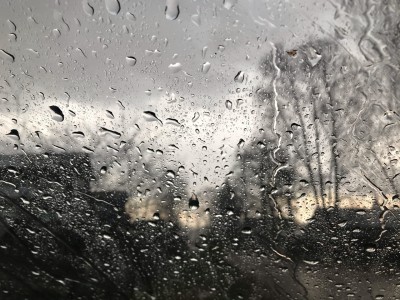 МЧС предупреждает о ливнях и сильном ветре в ближайшие три дня  - Новости ТИА
