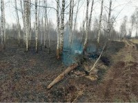 В Тверской области пожарные потушили тлеющий торф - новости ТИА