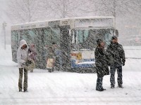 Первая рабочая неделя в Тверской области будет снежной - Новости ТИА
