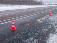 На трассе М-9 в Тверской области неизвестный водитель насмерть сбил 49-летнего мужчину - Новости ТИА