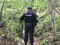 В Тверской области полицейские разыскали пенсионерку, которая в лесу потеряла сознание - Новости ТИА