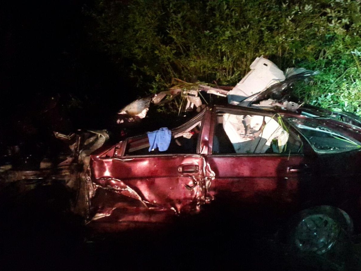 В Тверской области после столкновения с лосем погиб водитель