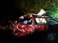 В Тверской области после столкновения с лосем погиб водитель - новости ТИА