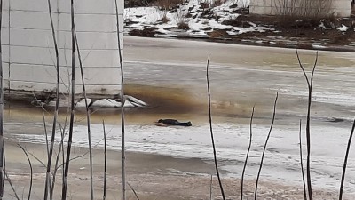 В Тверской области под мостом нашли труп мужчины - новости ТИА