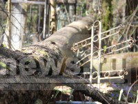 В Твери кладбище в Первомайской роще утопает в мусоре - Новости ТИА