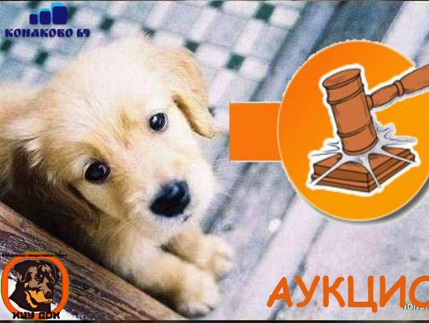 <strong>Автор: ТИА</strong><p></p>