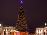 В Твери устанавливают новогоднюю ель на площади Ленина - Новости ТИА