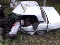В Тверской области ВАЗ врезался в дерево: двое погибли - Новости ТИА