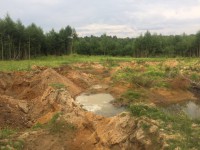 ОНФ: активисты добились прекращения разработки нелегальных карьеров в Конаковском районе - Новости ТИА
