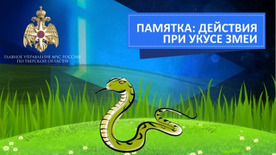 В МЧС рассказали, как оказывать первую помощь при укусе змеи - Новости ТИА