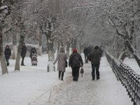 МЧС предупреждает о сильных снегопадах 26 декабря - Новости ТИА