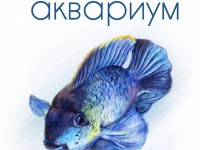 В Твери пройдёт встреча-лекция любителей аквариумных рыбок - новости ТИА