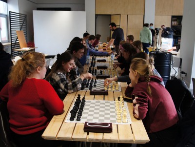 В Твери любители интеллектуальных игр сыграли в го и медвежьи шахматы - Новости ТИА