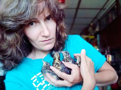 Птичья мама: тверичанка Анастасия Каменская спасает раненых пернатых и птенцов - новости ТИА