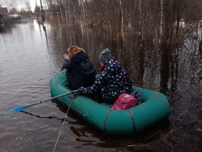 На дачном участке передвигаются на лодках между подтопленными домами - Новости ТИА