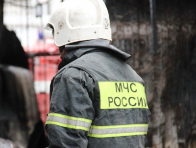 В Тверской области на пожаре погибла женщина - Новости ТИА